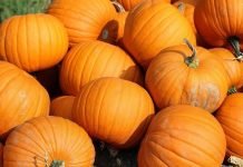 Recetas de Halloween que todo amante del terror debería preparar