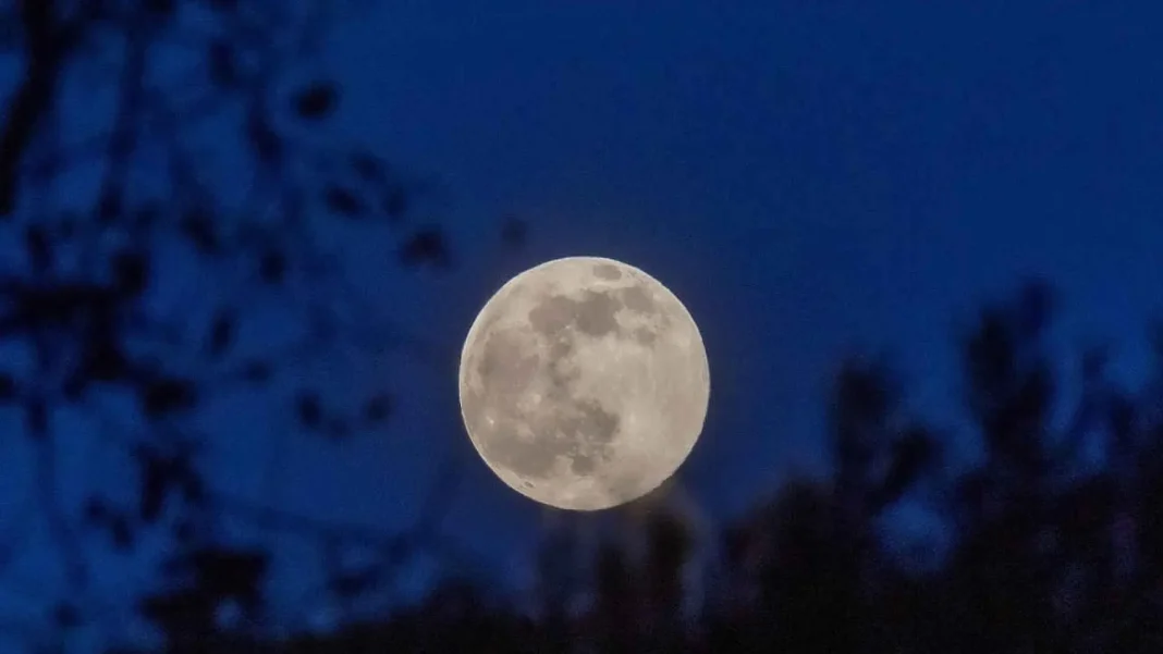LUNA.jpeg