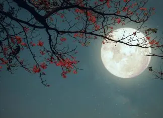 Un poema: No rechaces los sueños por ser sueños