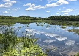 images-6