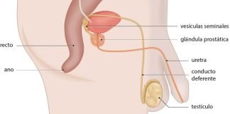 Cáncer de próstata, ese tumor