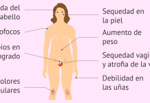 El día D